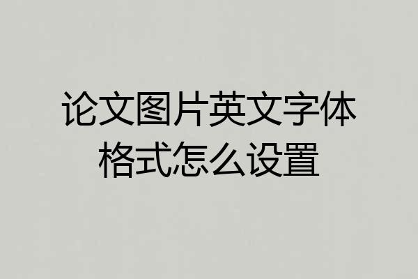 论文图片英文字体格式怎么设置