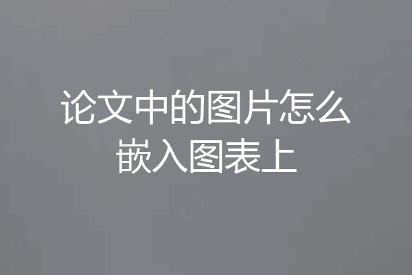 论文中的图片怎么嵌入图表上