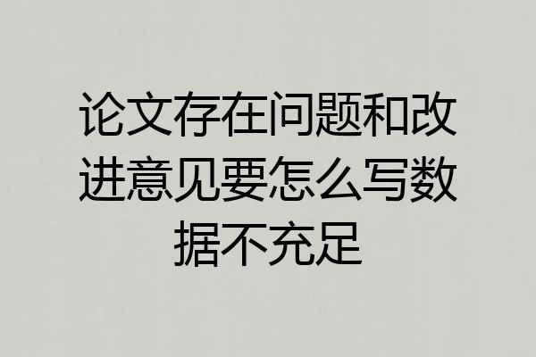 论文存在问题和改进意见要怎么写数据不充足