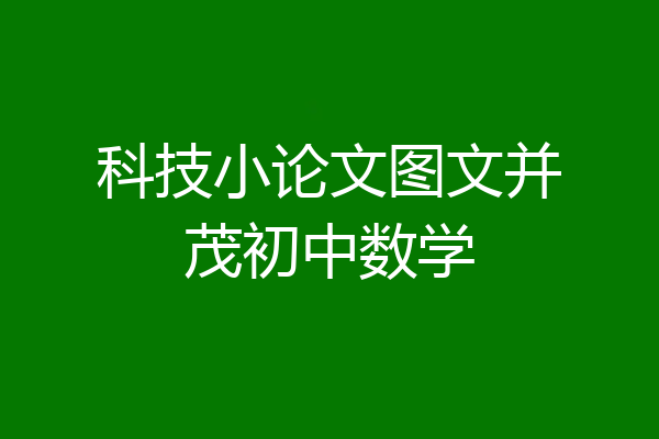 科技小论文图文并茂初中数学