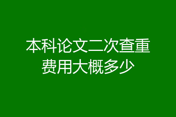 本科论文二次查重费用大概多少