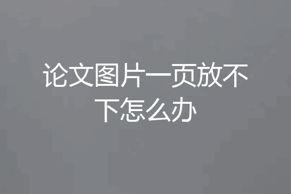 论文图片一页放不下怎么办