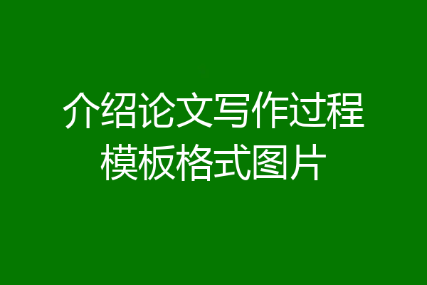 介绍论文写作过程模板格式图片