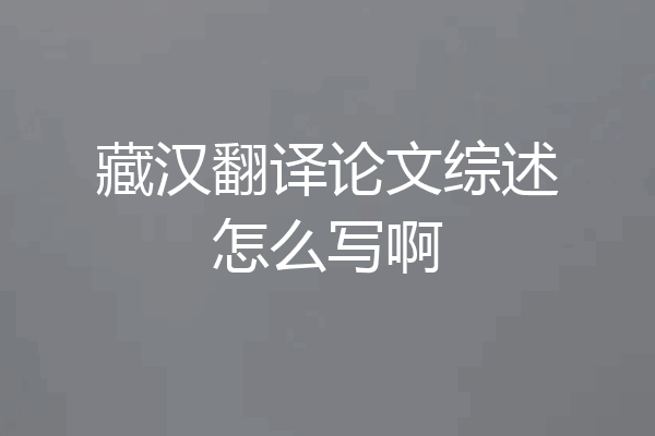 藏汉翻译论文综述怎么写啊