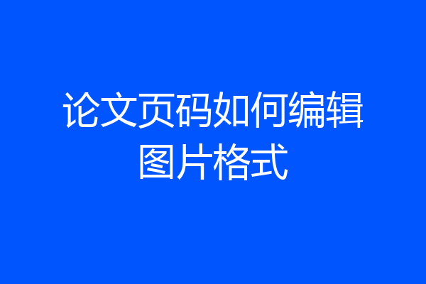 论文页码如何编辑图片格式