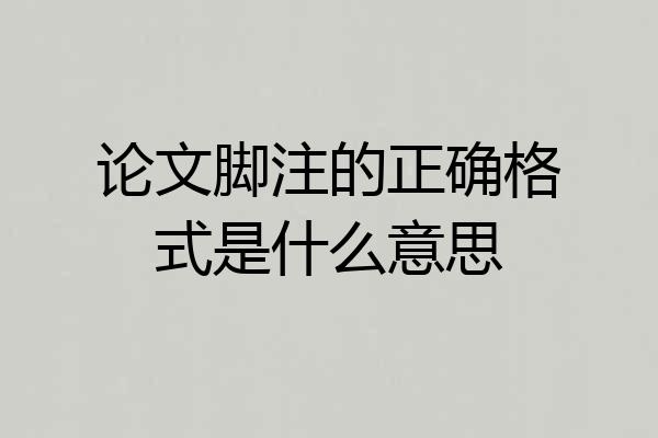 论文脚注的正确格式是什么意思
