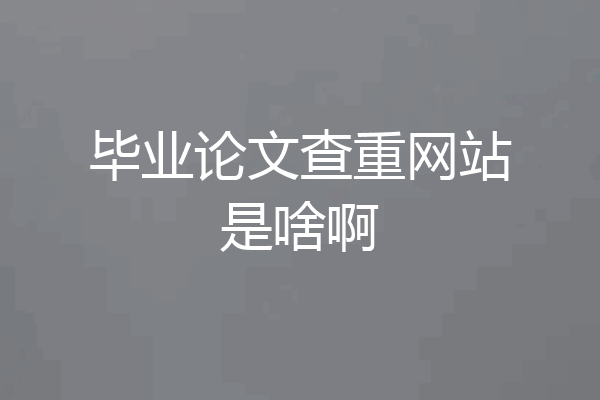 毕业论文查重网站是啥啊