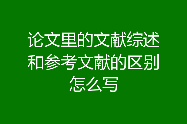 论文里的文献综述和参考文献的区别怎么写