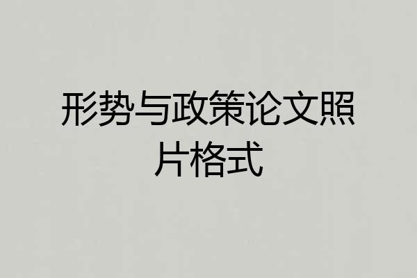 形势与政策论文照片格式