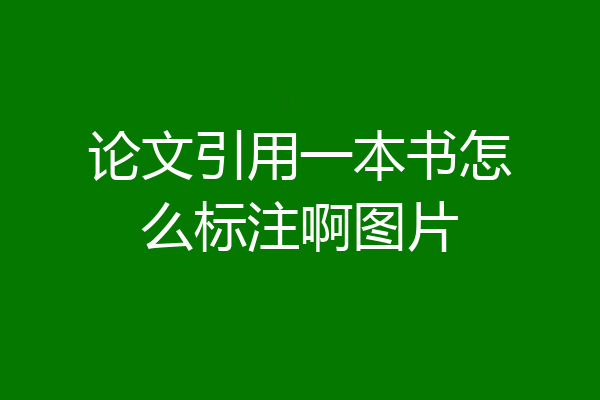 论文引用一本书怎么标注啊图片
