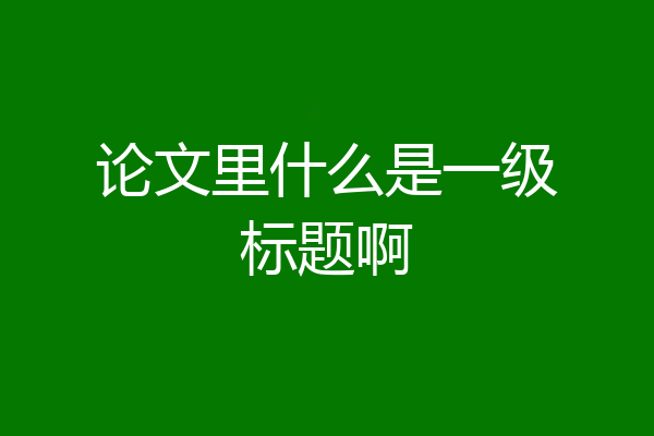 论文里什么是一级标题啊
