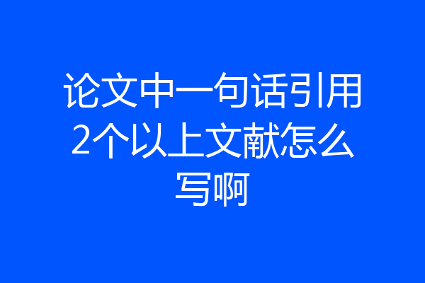 论文中一句话引用2个以上文献怎么写啊