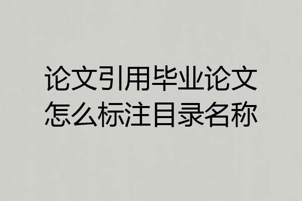 论文引用毕业论文怎么标注目录名称