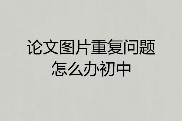 论文图片重复问题怎么办初中