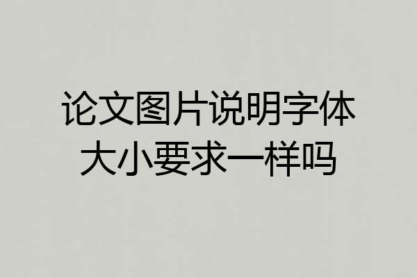论文图片说明字体大小要求一样吗