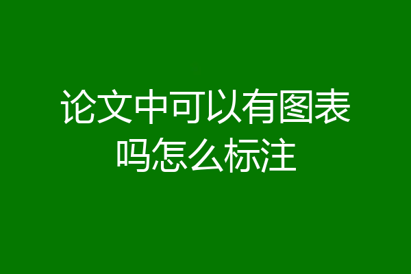 论文中可以有图表吗怎么标注