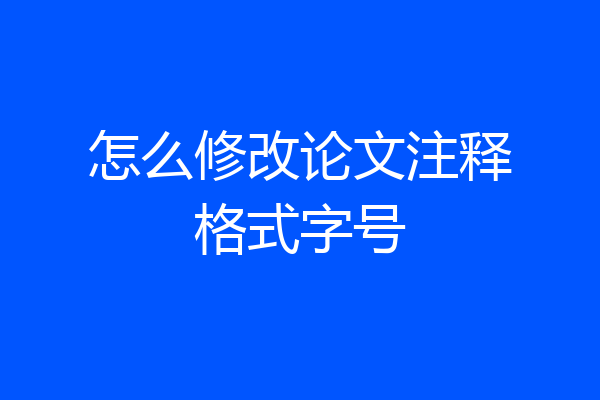 怎么修改论文注释格式字号