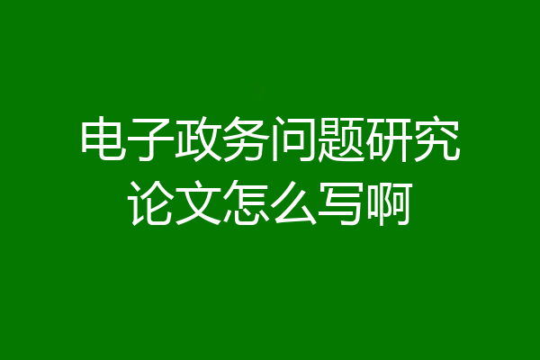 电子政务问题研究论文怎么写啊