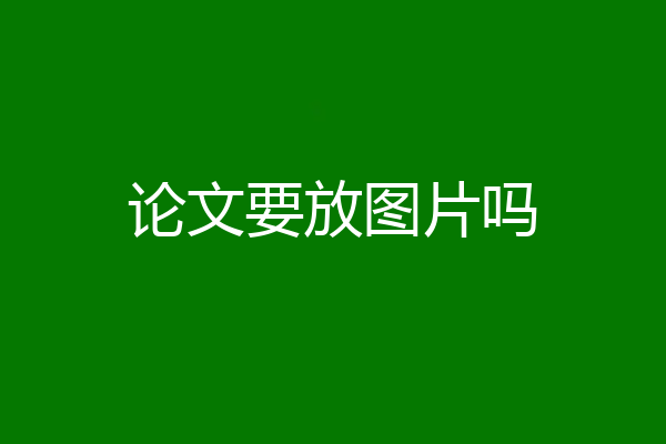 论文要放图片吗