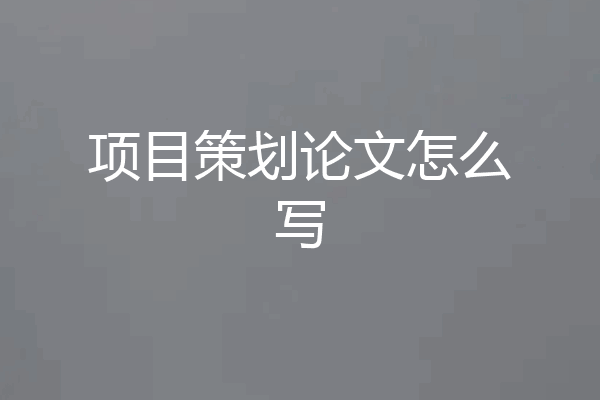 项目策划论文怎么写