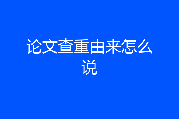 论文查重由来怎么说