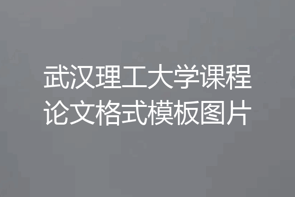 武汉理工大学课程论文格式模板图片