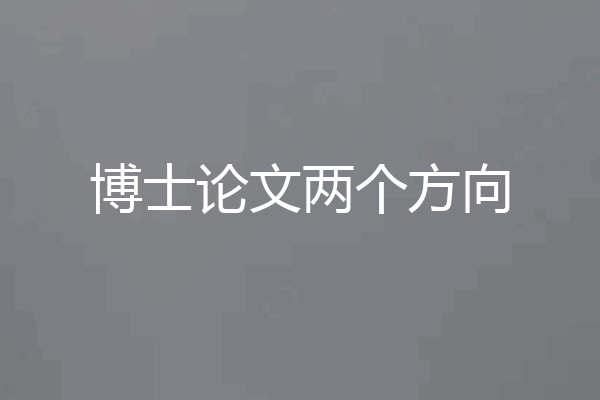 博士论文两个方向