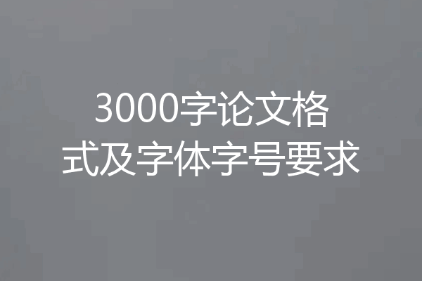 3000字论文格式及字体字号要求