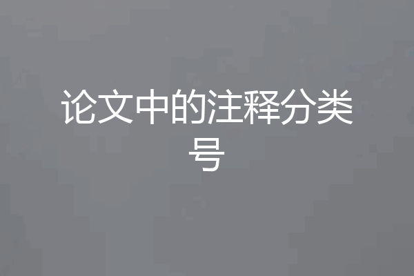 论文中的注释分类号