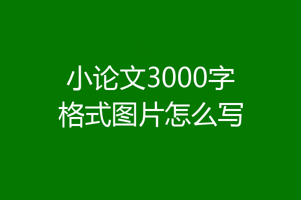 小论文3000字格式图片怎么写