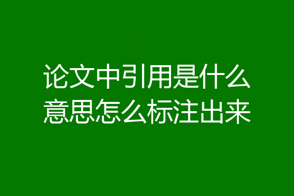 论文中引用是什么意思怎么标注出来