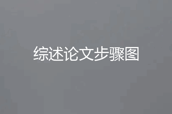 综述论文步骤图