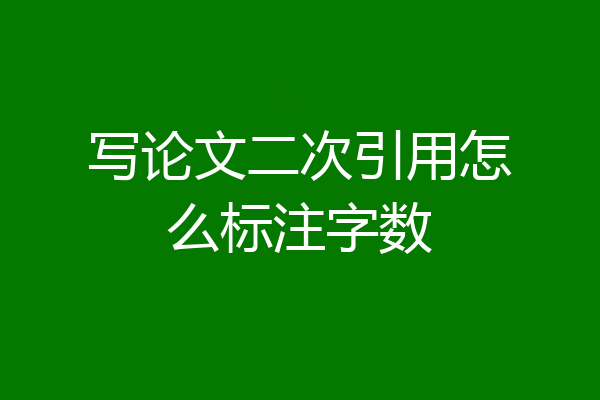 写论文二次引用怎么标注字数