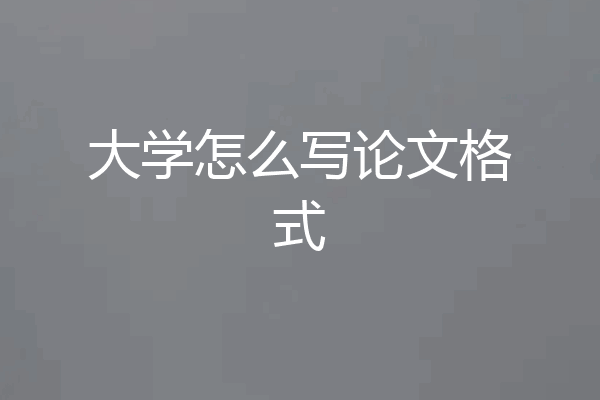 大学怎么写论文格式