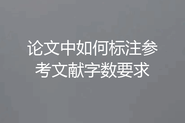 论文中如何标注参考文献字数要求