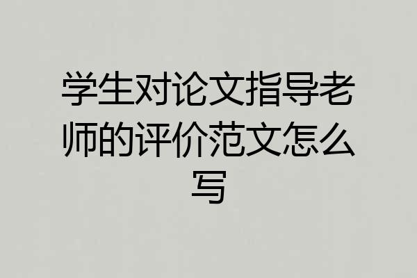 学生对论文指导老师的评价范文怎么写