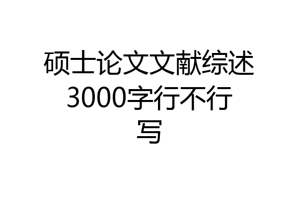 硕士论文文献综述3000字行不行写