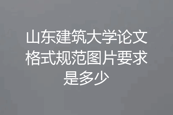 山东建筑大学论文格式规范图片要求是多少