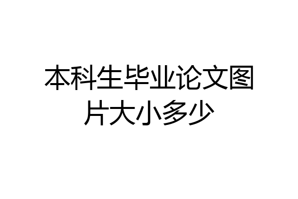 本科生毕业论文图片大小多少