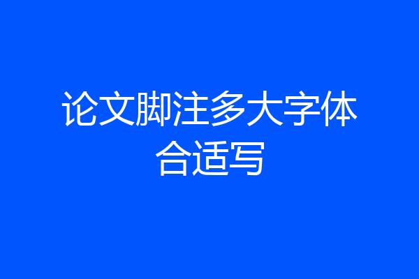 论文脚注多大字体合适写