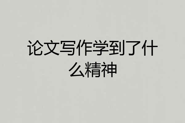 论文写作学到了什么精神