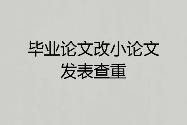毕业论文改小论文发表查重