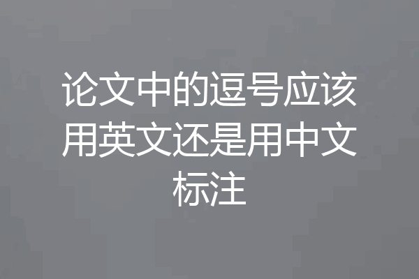 论文中的逗号应该用英文还是用中文标注