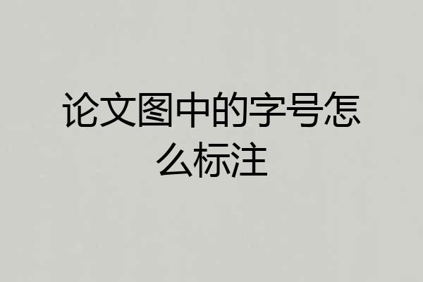 论文图中的字号怎么标注