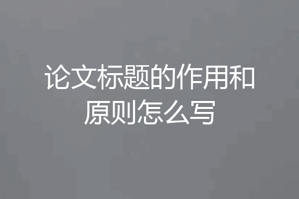 论文标题的作用和原则怎么写