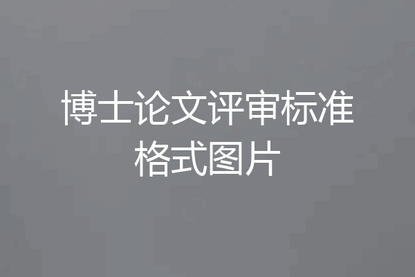 博士论文评审标准格式图片