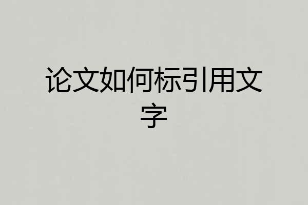 论文如何标引用文字
