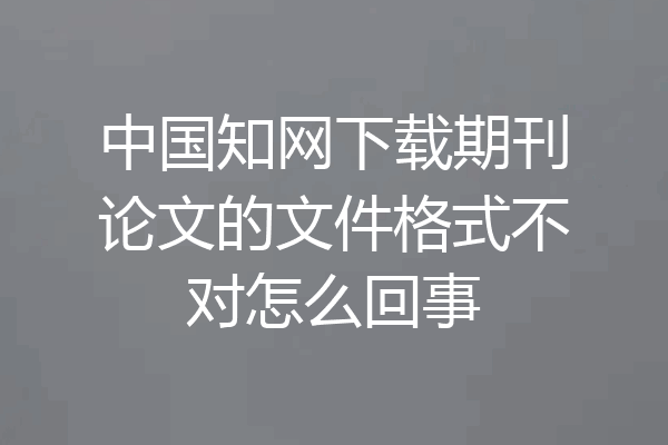 中国知网下载期刊论文的文件格式不对怎么回事