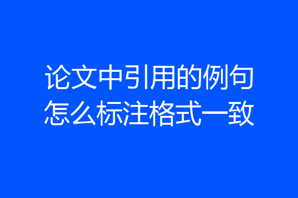 论文中引用的例句怎么标注格式一致