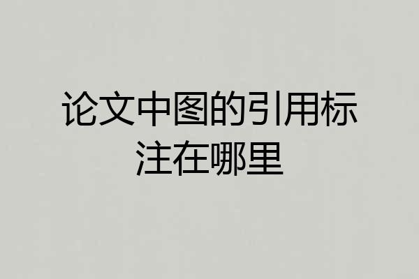 论文中图的引用标注在哪里
